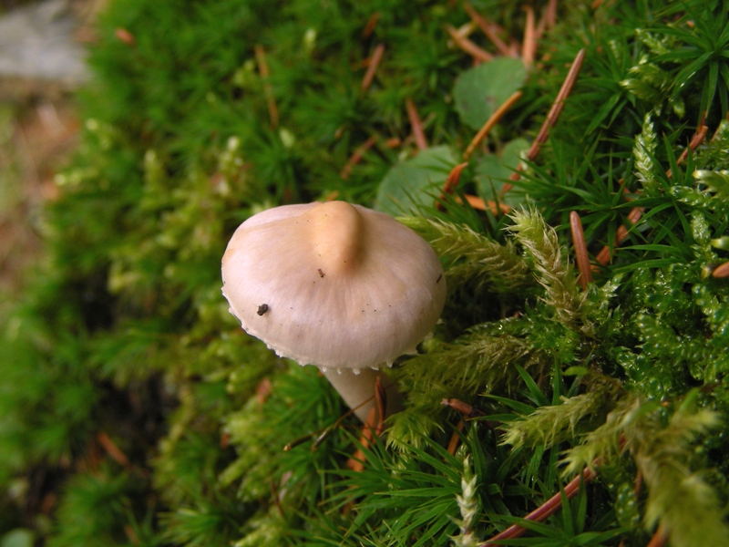Escursione in riva al lago